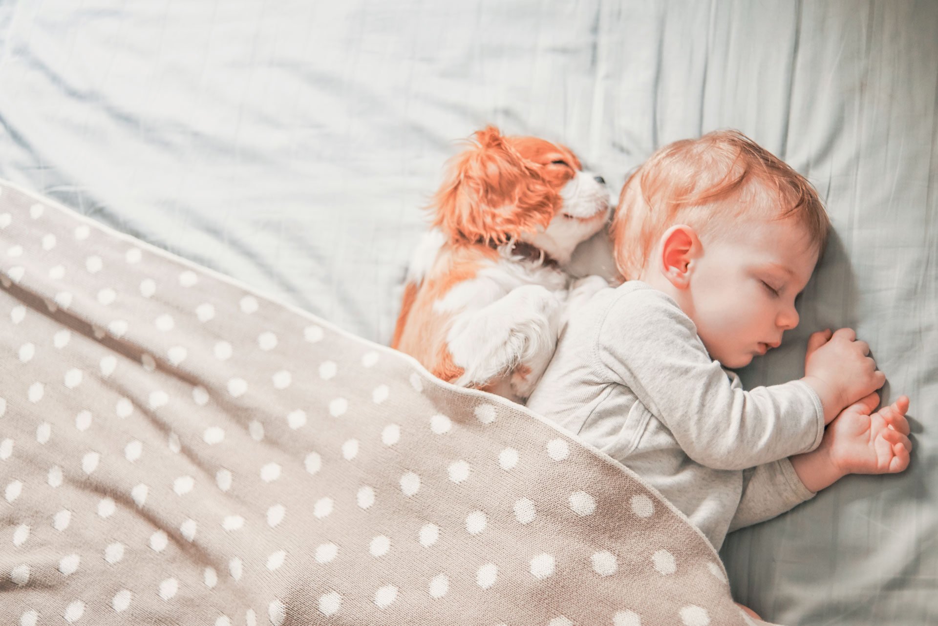 struttura in acciaio Y UNO per casa NZEB